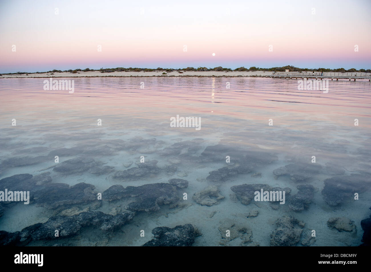 Tramonto sul stromatolites di Hamelin Pool a Shark Bay World Heritage Site, Australia occidentale Foto Stock