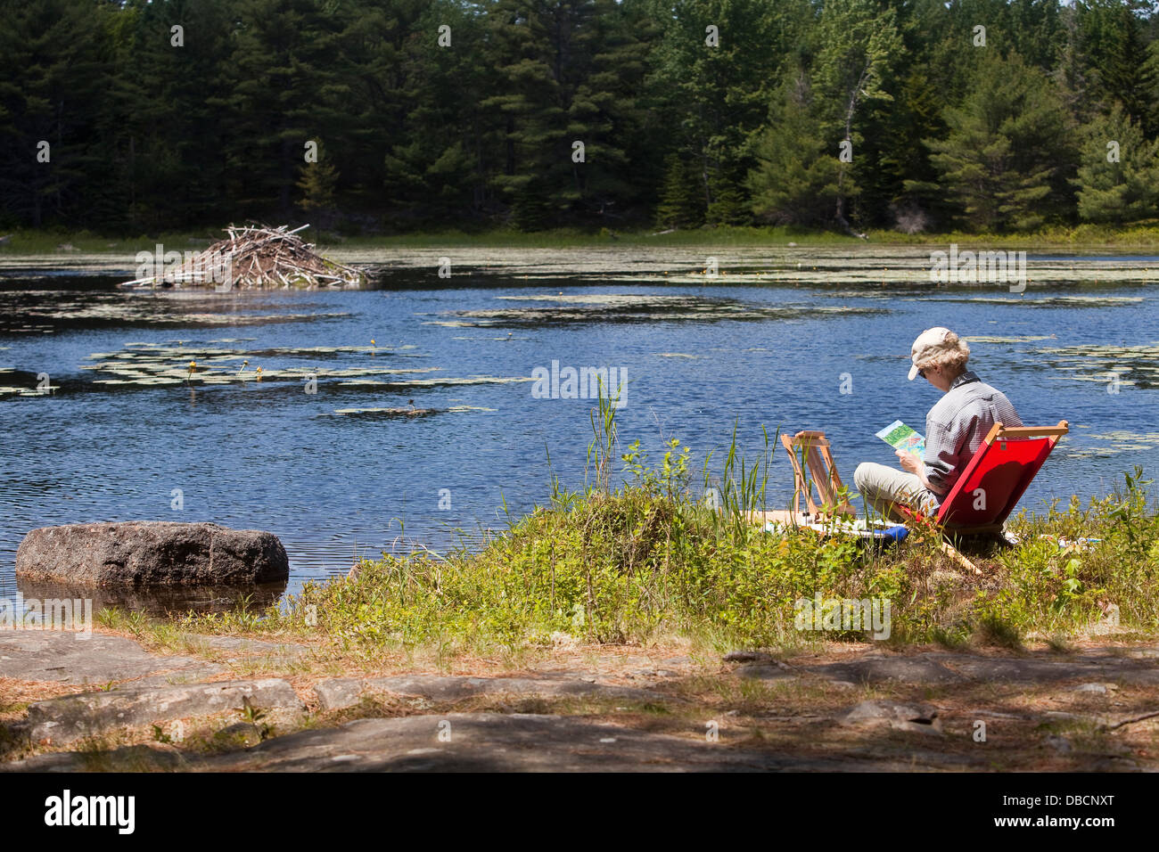 Una donna dipinge un lago e un castoro casa dal lato di un lago nel Parco Nazionale di Acadia sull'isola di Mount Desert nel Maine Foto Stock