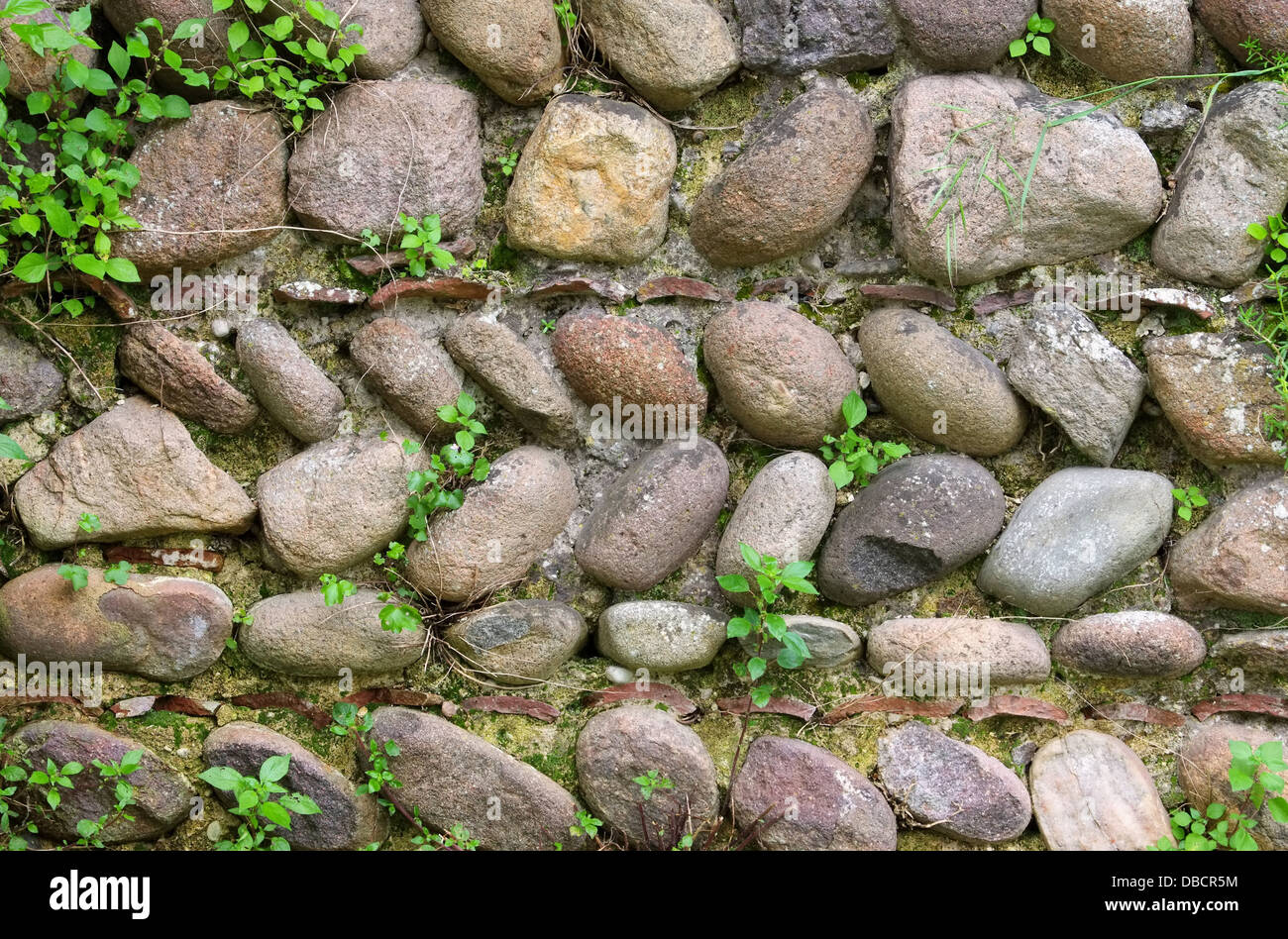 Natursteinmauer - muro di pietra naturale 02 Foto Stock
