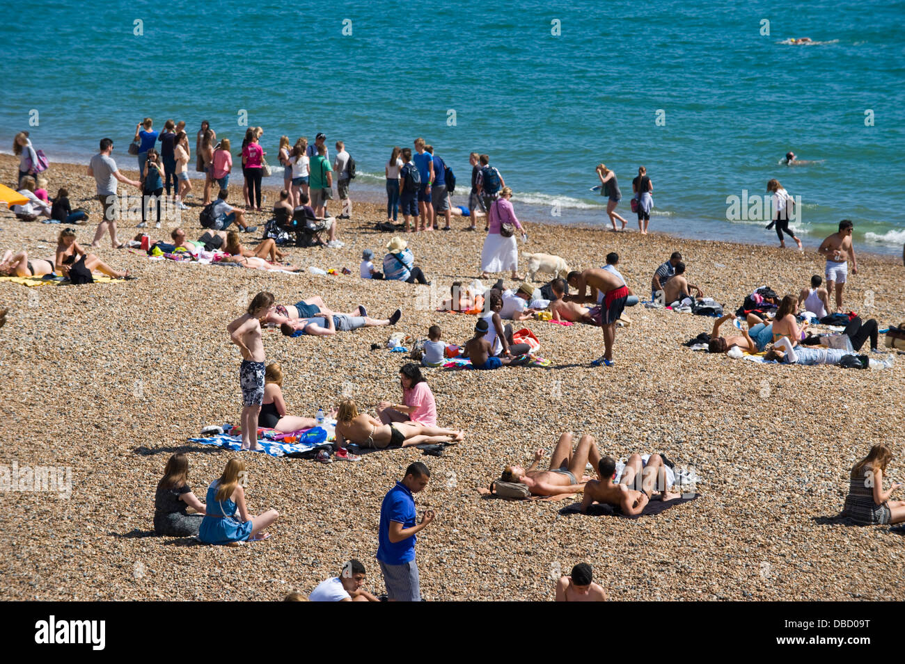 I villeggianti rilassarsi in estate il sole sulla spiaggia di Brighton East Sussex England Regno Unito Foto Stock