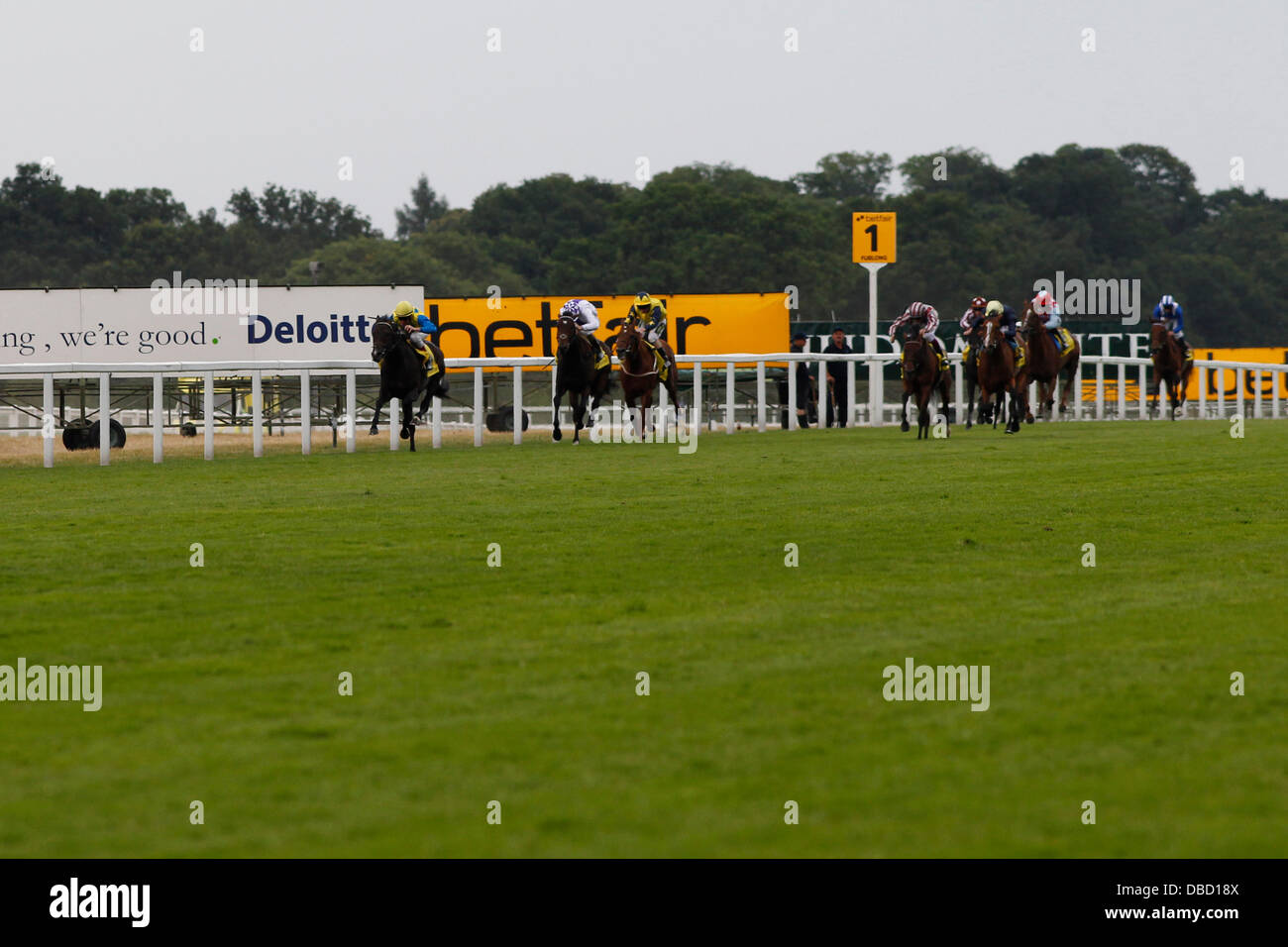 27.07.2013 - Ascot; Novellist, cavalcato da Johnny Murtagh vince il King George VI e Queen Elizabeth Stakes sponsorizzato da Betfair (British Champions serie) (gruppo 1). Credito: Lajos-Eric Balogh/turfstock.com Foto Stock