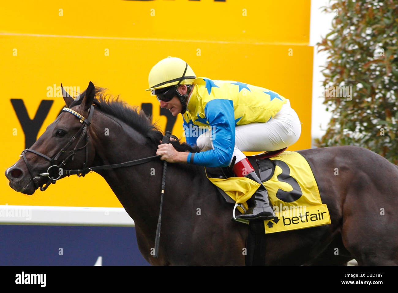 27.07.2013 - Ascot; Novellist, cavalcato da Johnny Murtagh vince il King George VI e Queen Elizabeth Stakes sponsorizzato da Betfair (British Champions serie) (gruppo 1). Credito: Lajos-Eric Balogh/turfstock.com Foto Stock