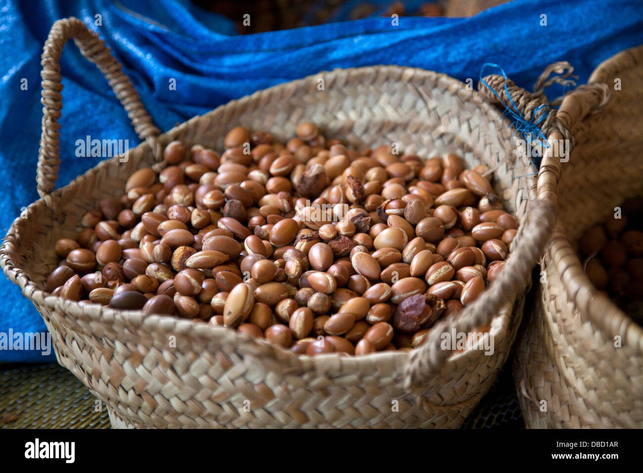 I dadi di argan Foto Stock