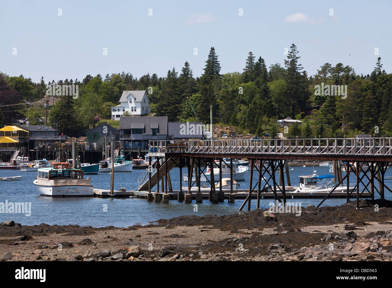 Le navi da pesca sono illustrati nel porto di Tremont, Maine Foto Stock