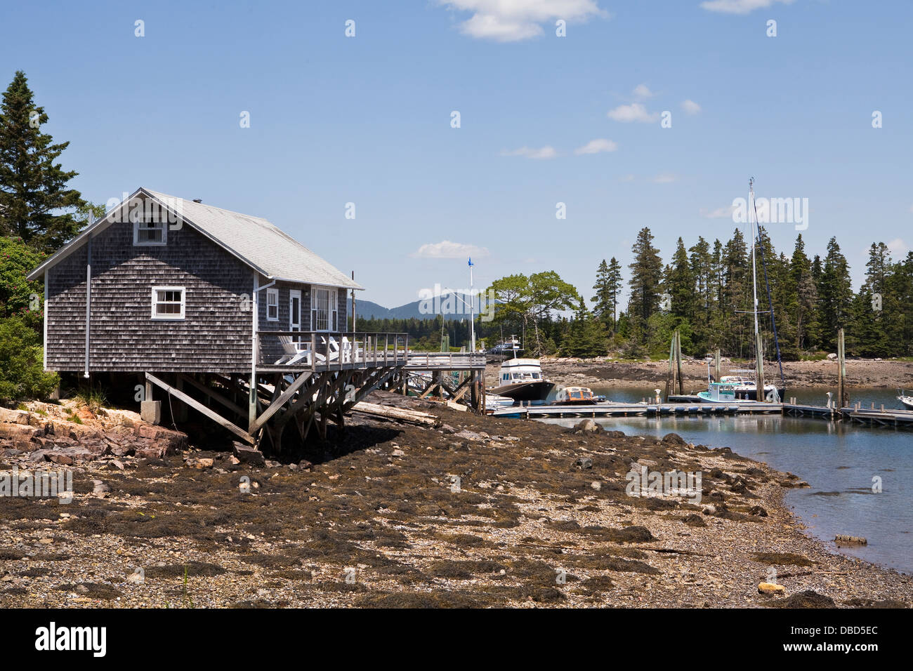 Le navi da pesca sono illustrati nel porto di Tremont, Maine Foto Stock