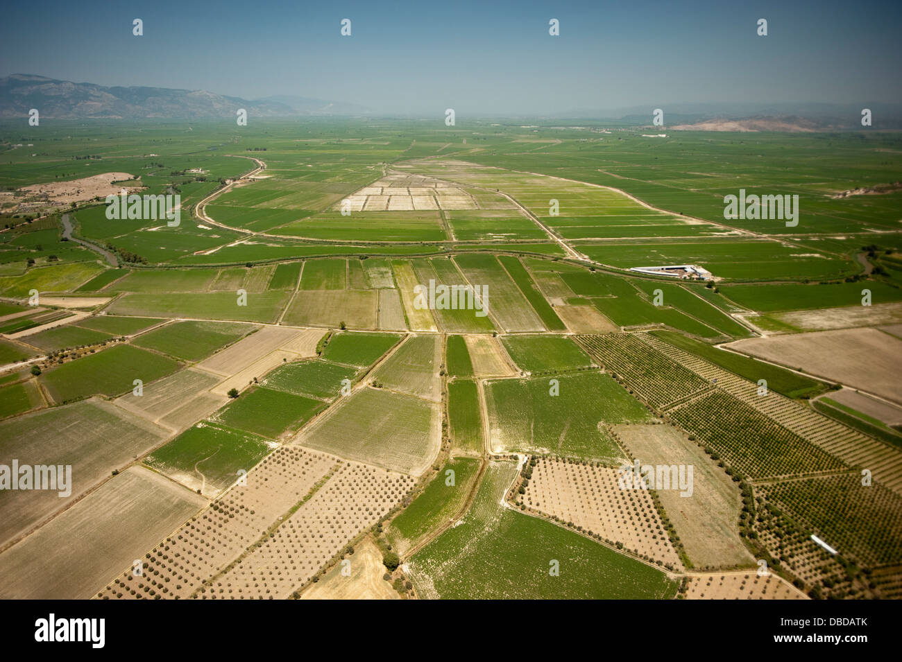 Vista aerea di campi agricoli in Söke di pianura e di Fiume Menderes Aydın Turchia Foto Stock