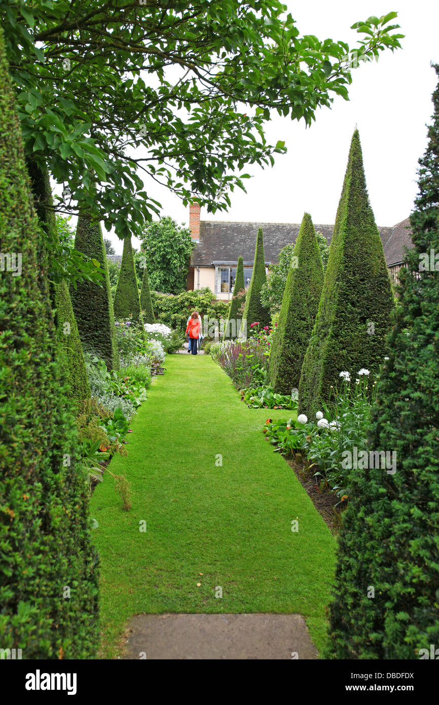 Ritagliato yew guglie del Yew a piedi a Wollerton Old Hall Giardini Giardino Wollerton Market Drayton Shropshire England Regno Unito Foto Stock