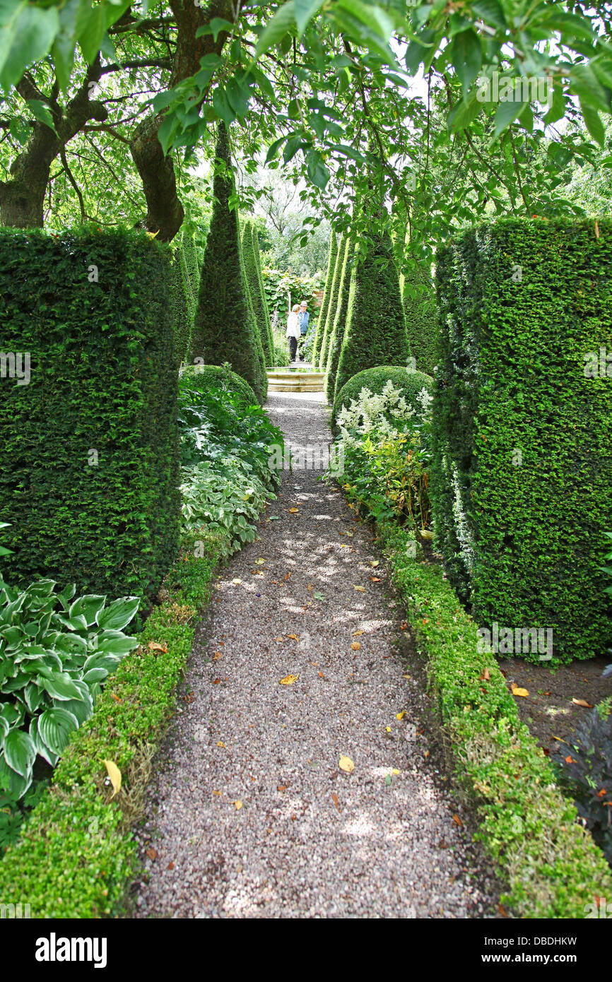 Ritagliato yew guglie del Yew a piedi a Wollerton Old Hall Giardini Giardino Wollerton Market Drayton Shropshire England Regno Unito Foto Stock