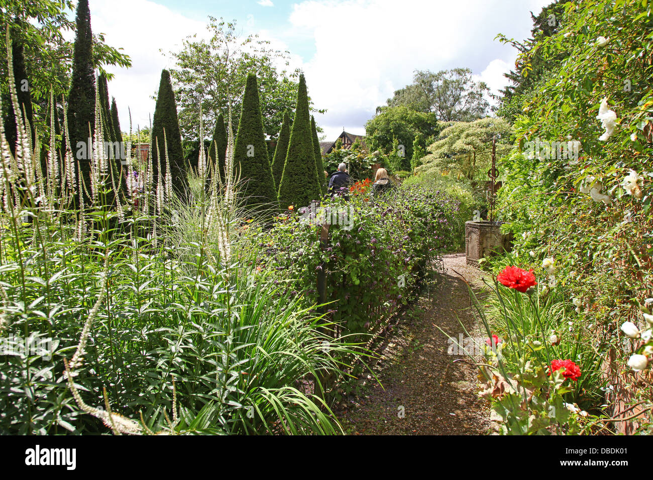Ritagliato yew guglie a Wollerton Old Hall Giardini Giardino Wollerton Market Drayton Shropshire England Regno Unito Foto Stock