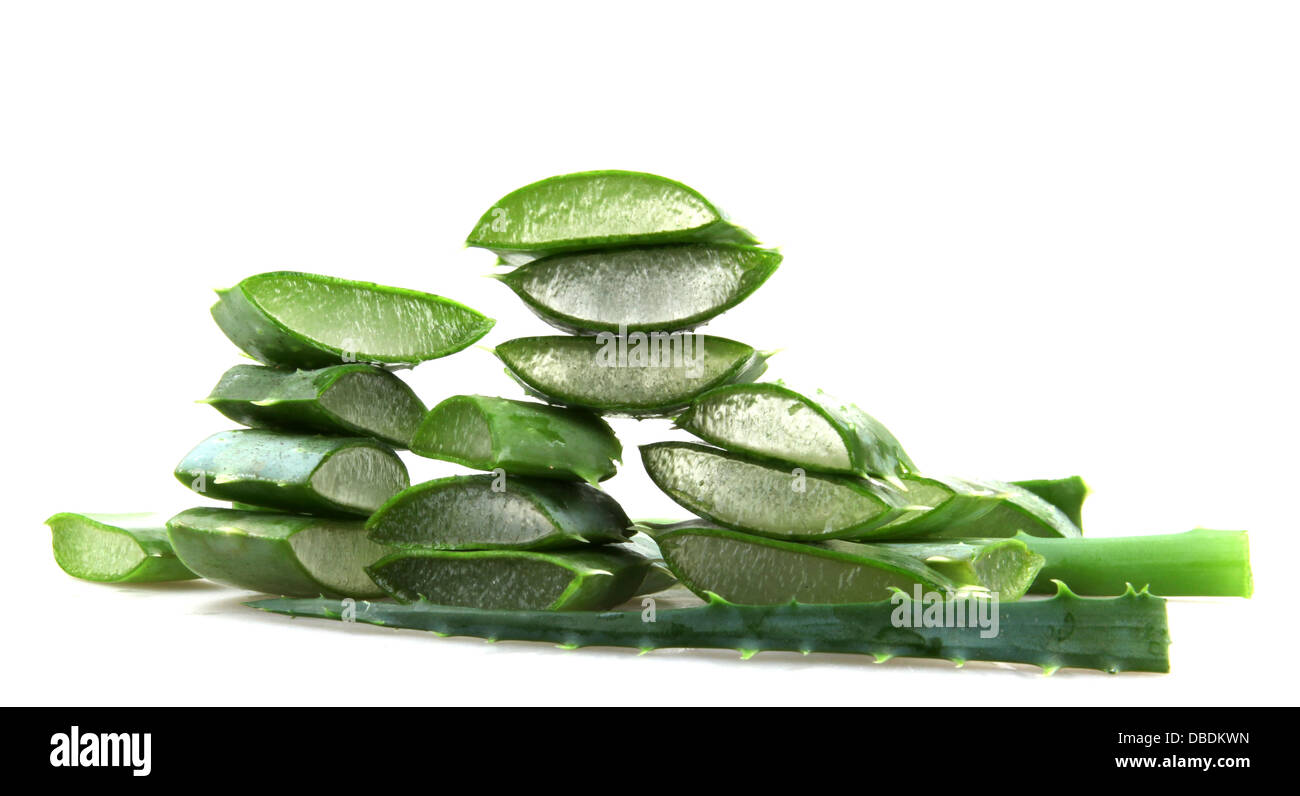 Aloe vera Foto Stock