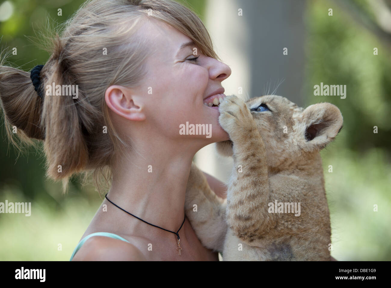 Ragazza che gioca con un po' di sesso maschile LION CUB. Foto Stock