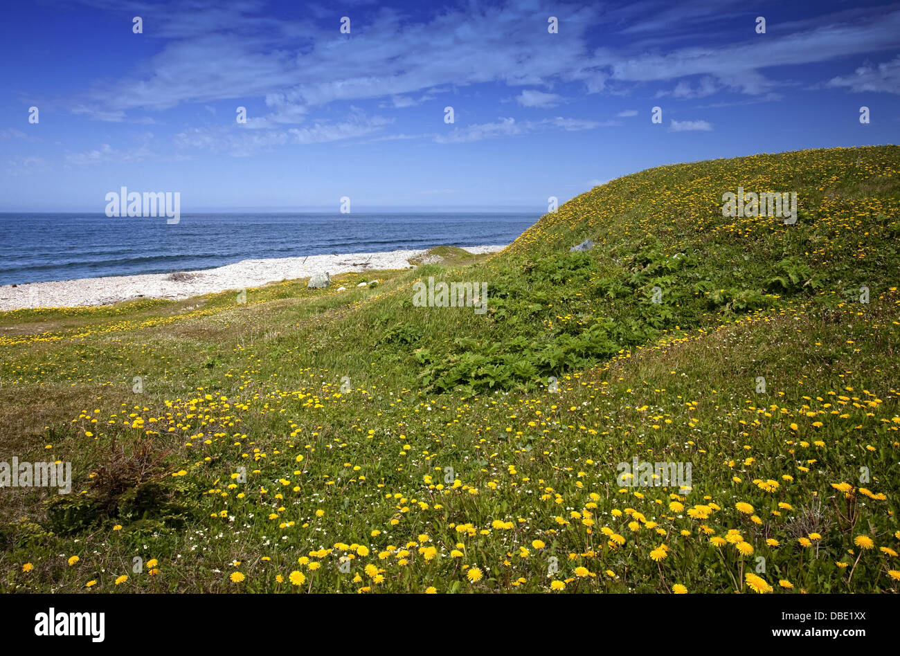 Riva del mare, nel nord del Parco Nazionale Gros Morne, UNESCO Patrimonio Culturale, Terranova Foto Stock
