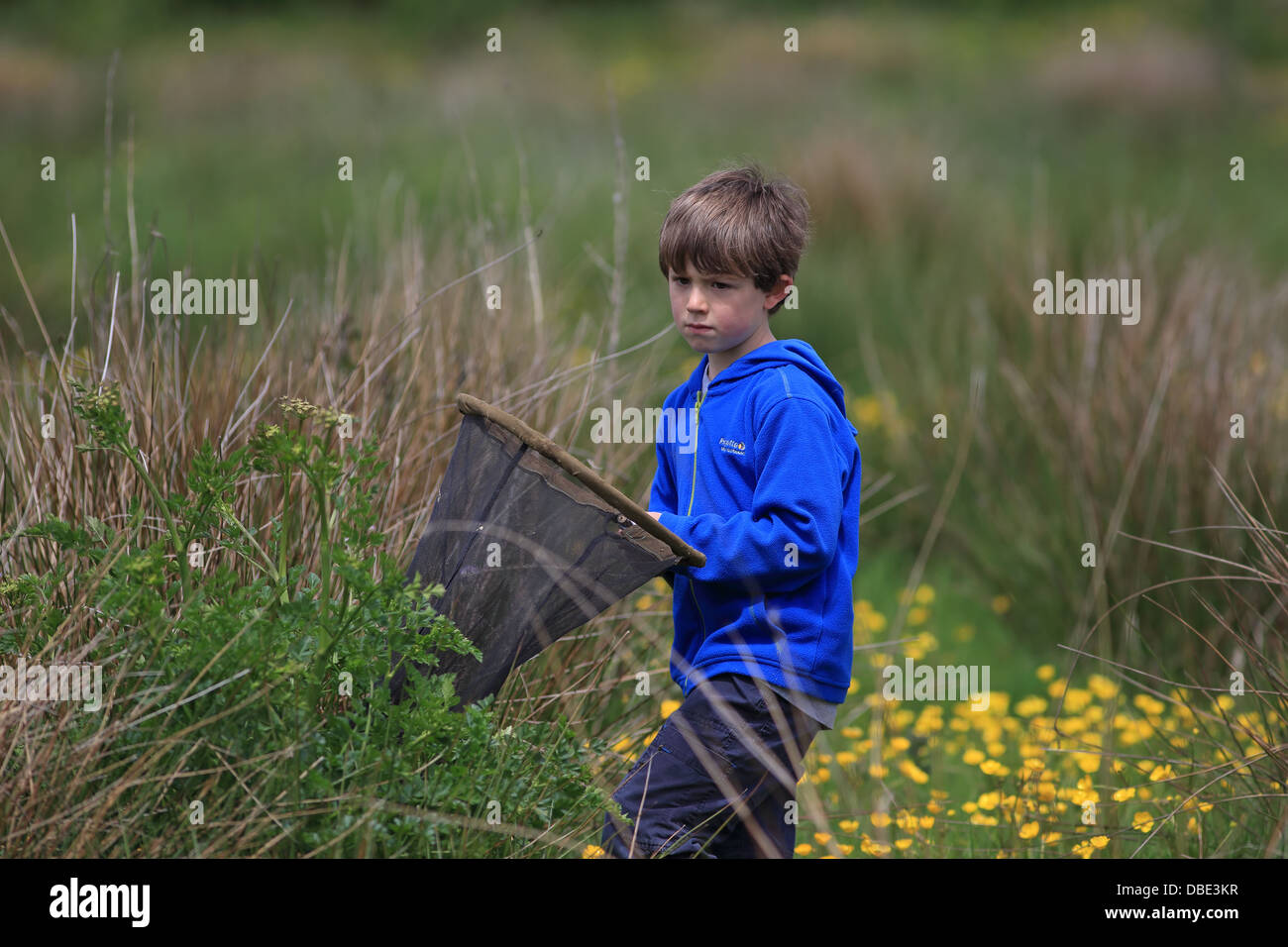 Luca con butterfly net Foto Stock