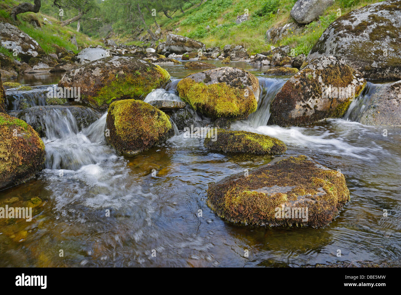 Una lunga esposizione del flusso nella valle di Findhorn in Scozia Foto Stock