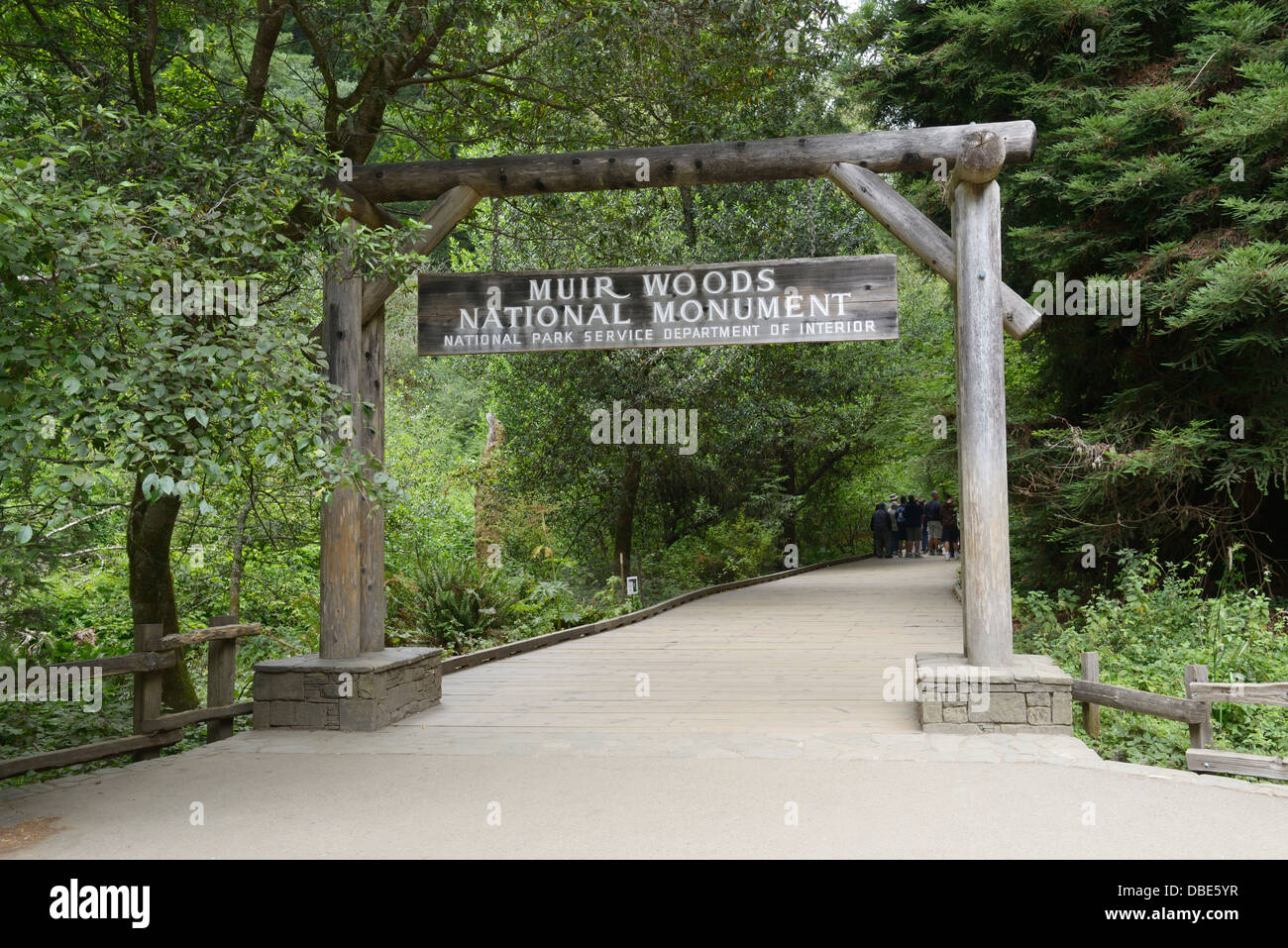 Muir Woods monumento nazionale Foto Stock