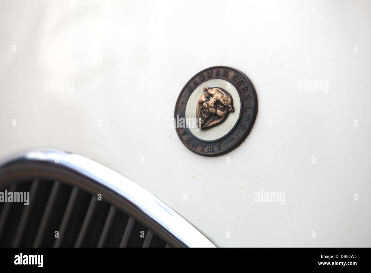 Distintivo di Jaguar XK Foto Stock