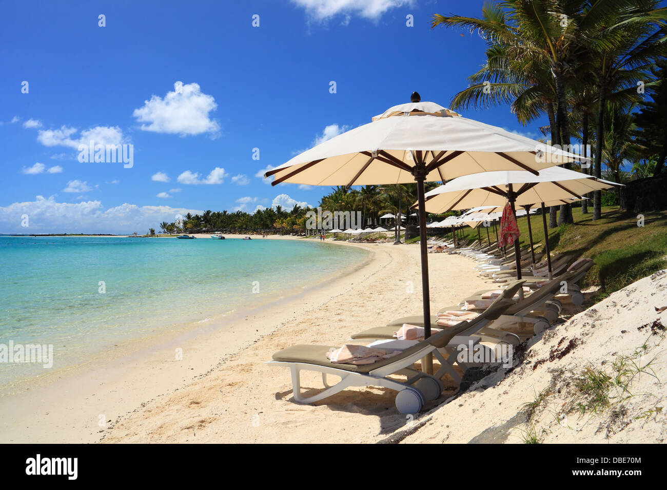 Spiaggia tropicale in isola Maurizio Foto Stock