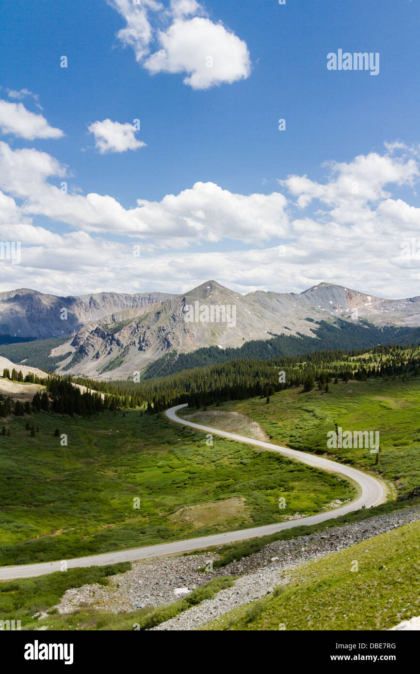 Vista dalla cima di pioppi neri americani passano, Colorado. Foto Stock