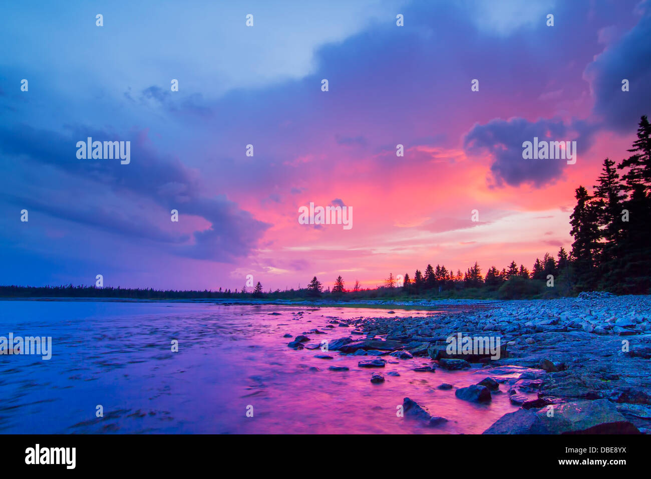 Viola tramonto nell'isola di Mount Desert, Parco Nazionale di Acadia, Maine Foto Stock