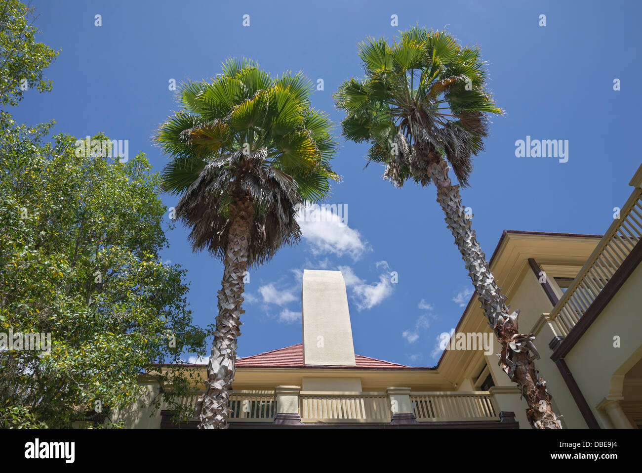 Il centro di Thomas è il cuore culturale di Gainesville in Florida. Foto Stock