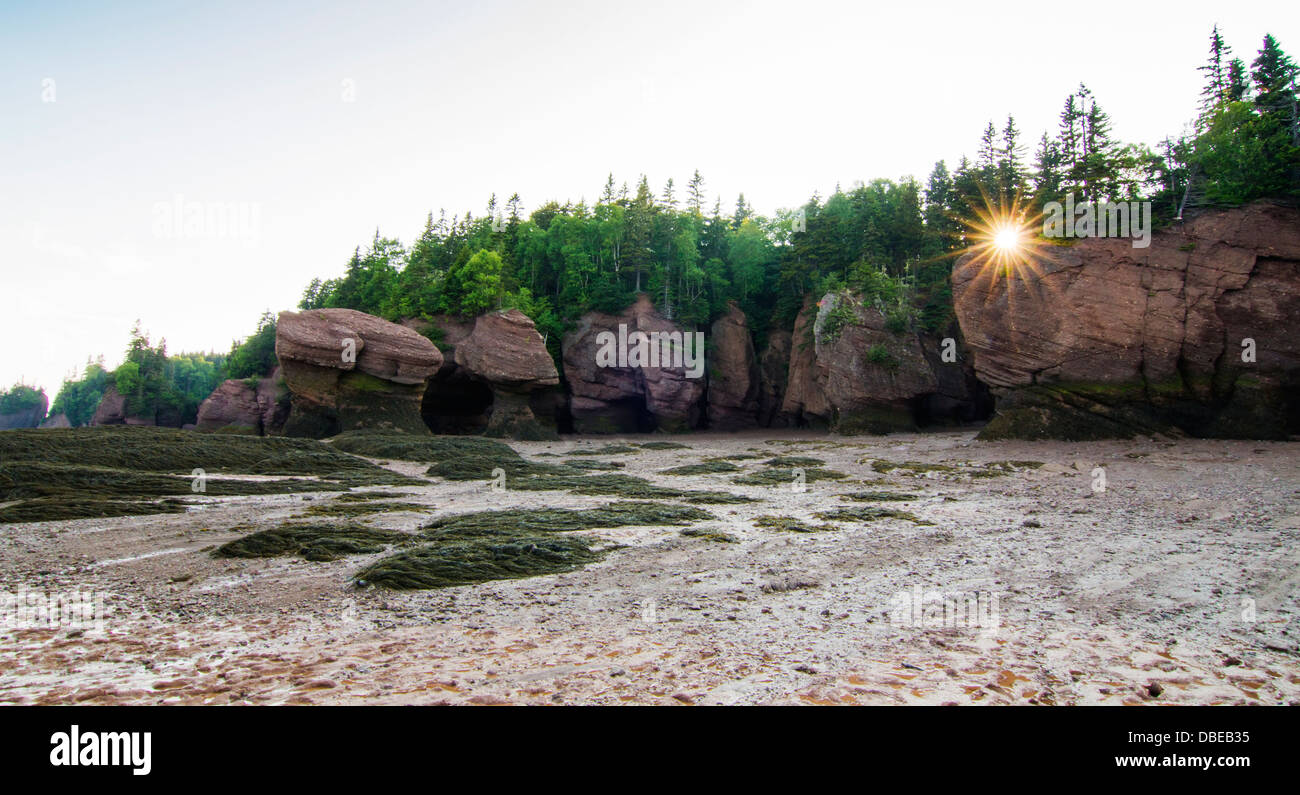 La Hopewell rocce a bassa marea, il Nuovo Brunswick shore nella Baia di Fundy noto per avere il massimo di marea nel mondo Foto Stock
