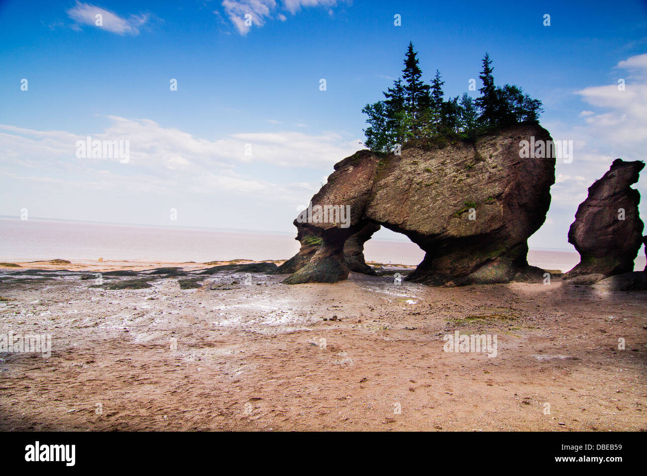 La Hopewell rocce a bassa marea, il Nuovo Brunswick shore nella Baia di Fundy noto per avere il massimo di marea nel mondo Foto Stock