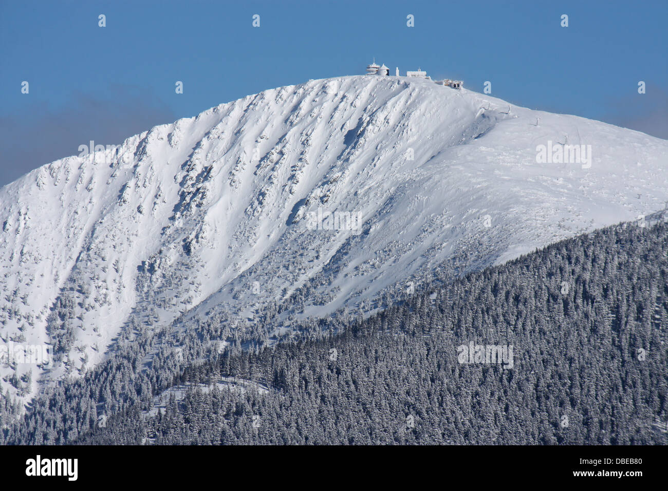 Dettaglio della più alta montagna della Repubblica ceca durante il periodo invernale Foto Stock