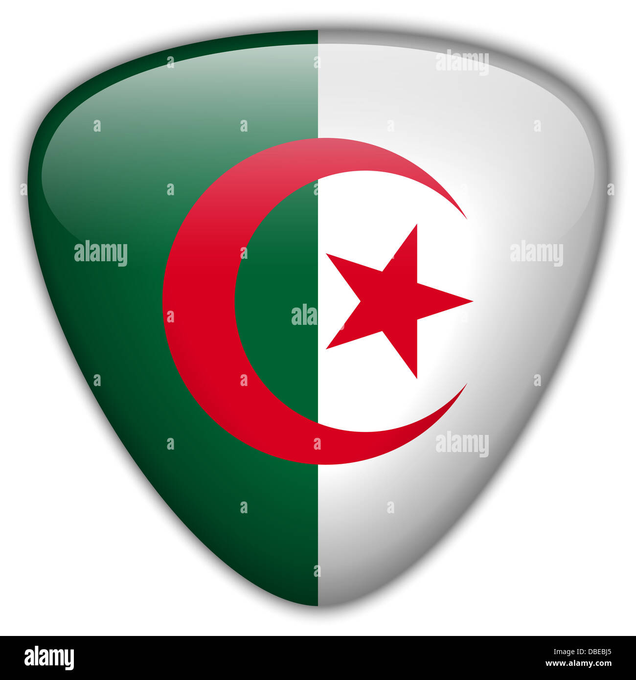 Vettore - Algeria bandiera pulsante lucida Foto Stock
