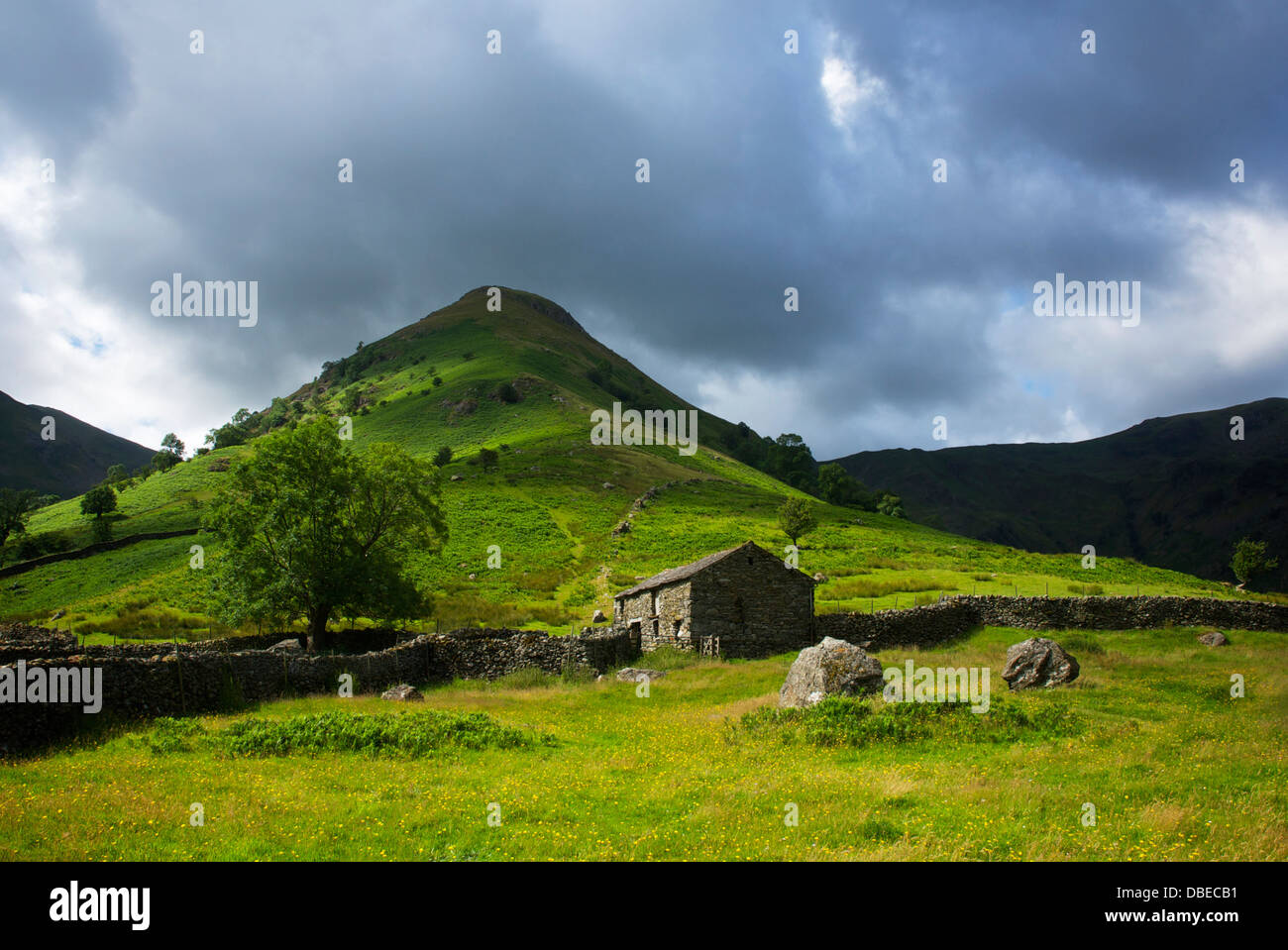 Campo granaio e hill - Alta Hartsop Dodd - vicino a Hartsop, Parco Nazionale del Distretto dei Laghi, Cumbria, England Regno Unito Foto Stock