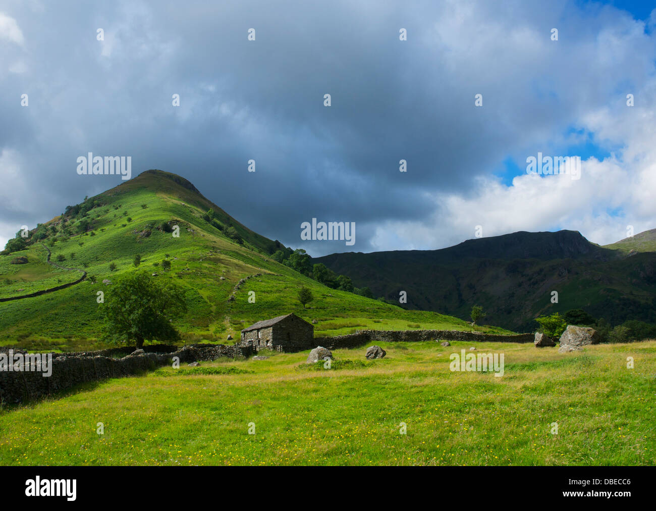 Campo granaio e hill - Alta Hartsop Dodd - vicino a Hartsop, Parco Nazionale del Distretto dei Laghi, Cumbria, England Regno Unito Foto Stock