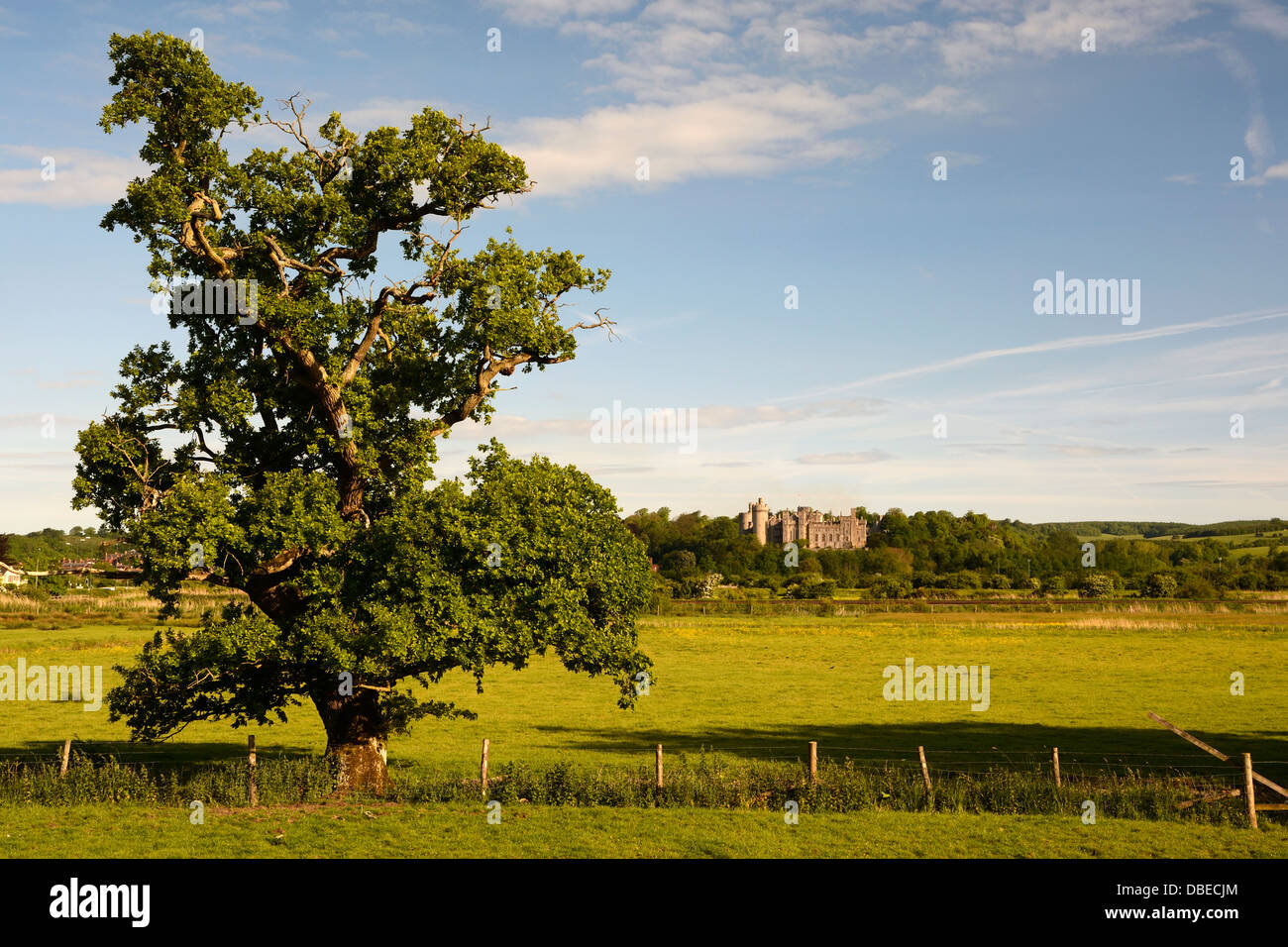 Il fiume Arun Valley con Arundel Castle in background, Arundel, West Sussex, in Inghilterra. Foto Stock