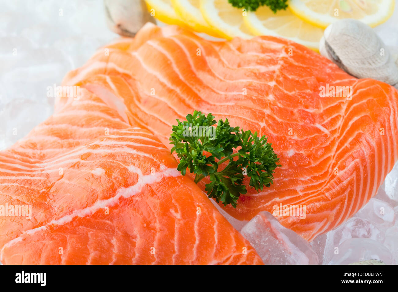 Filetti freschi di salmone su ghiaccio con le vongole e limone Foto Stock