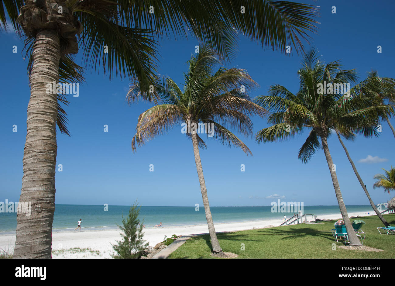 Palme spiaggia di Fort Myers ESTERO ISLAND costa del Golfo della Florida USA Foto Stock