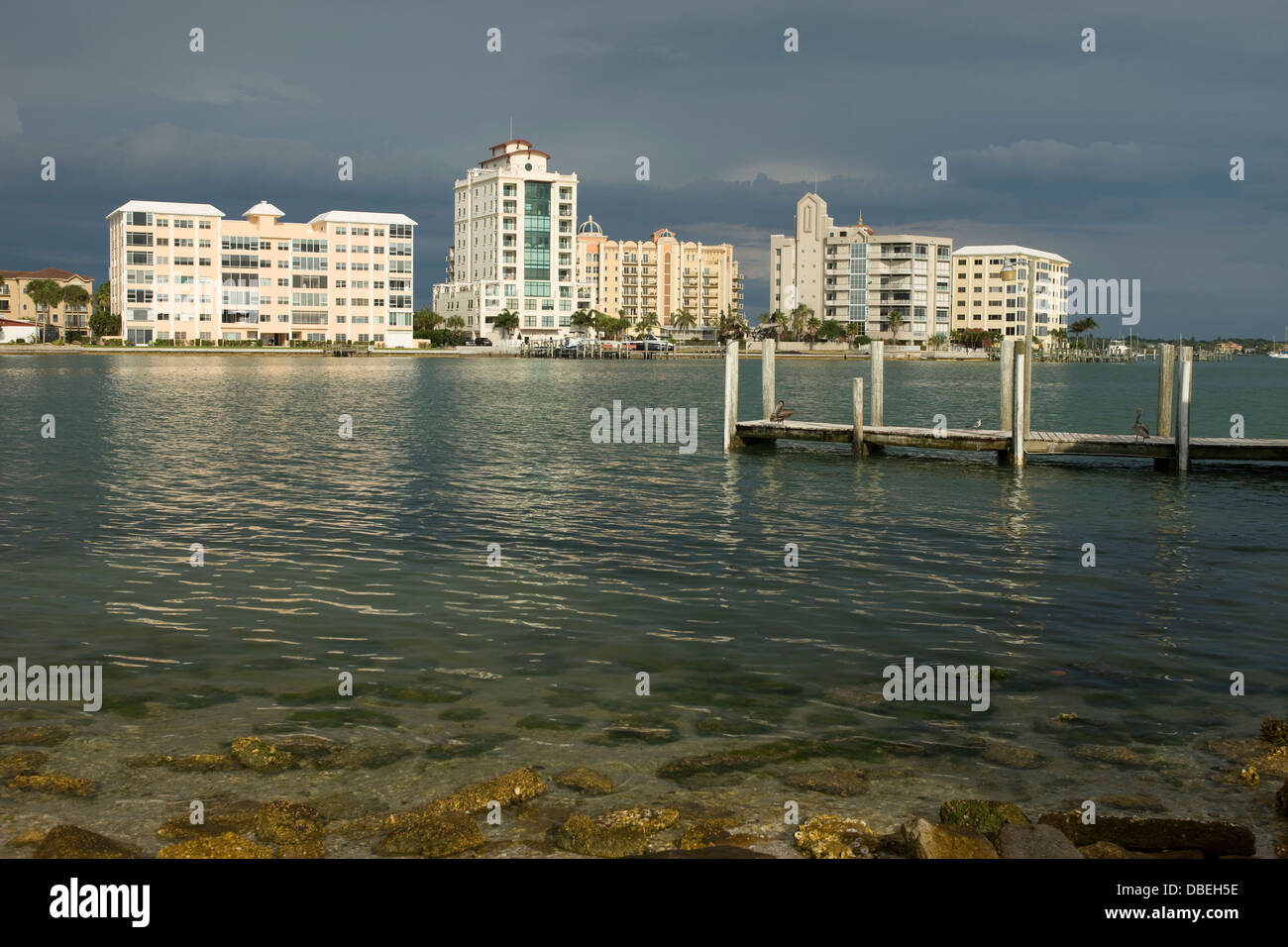 BAYFRONT SKYLINE DRIVE centro di Sarasota costa del Golfo della Florida USA Foto Stock