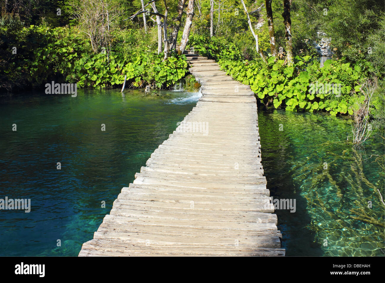 Percorso di legno in laghi di Plitvice Parco, per attraversare un color smeraldo della superficie dell'acqua dei laghi. Foto Stock