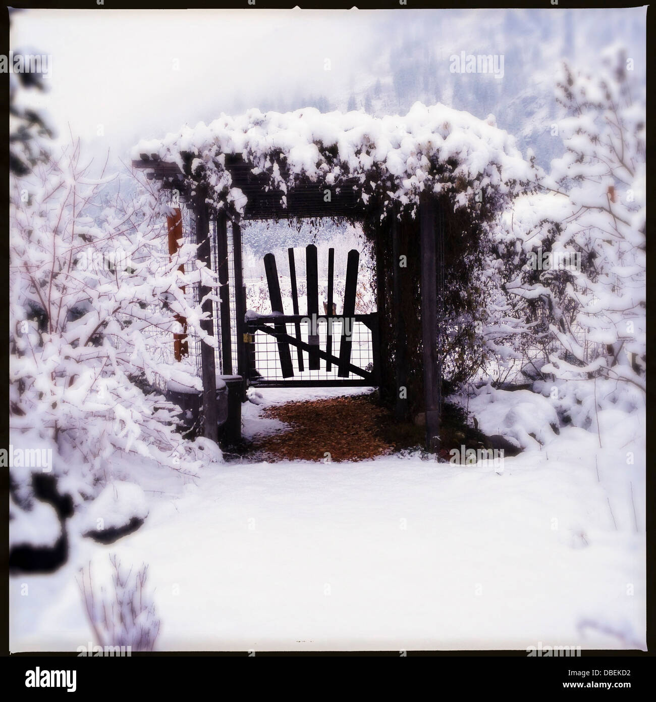 Coperte di neve alberi e gate Foto Stock