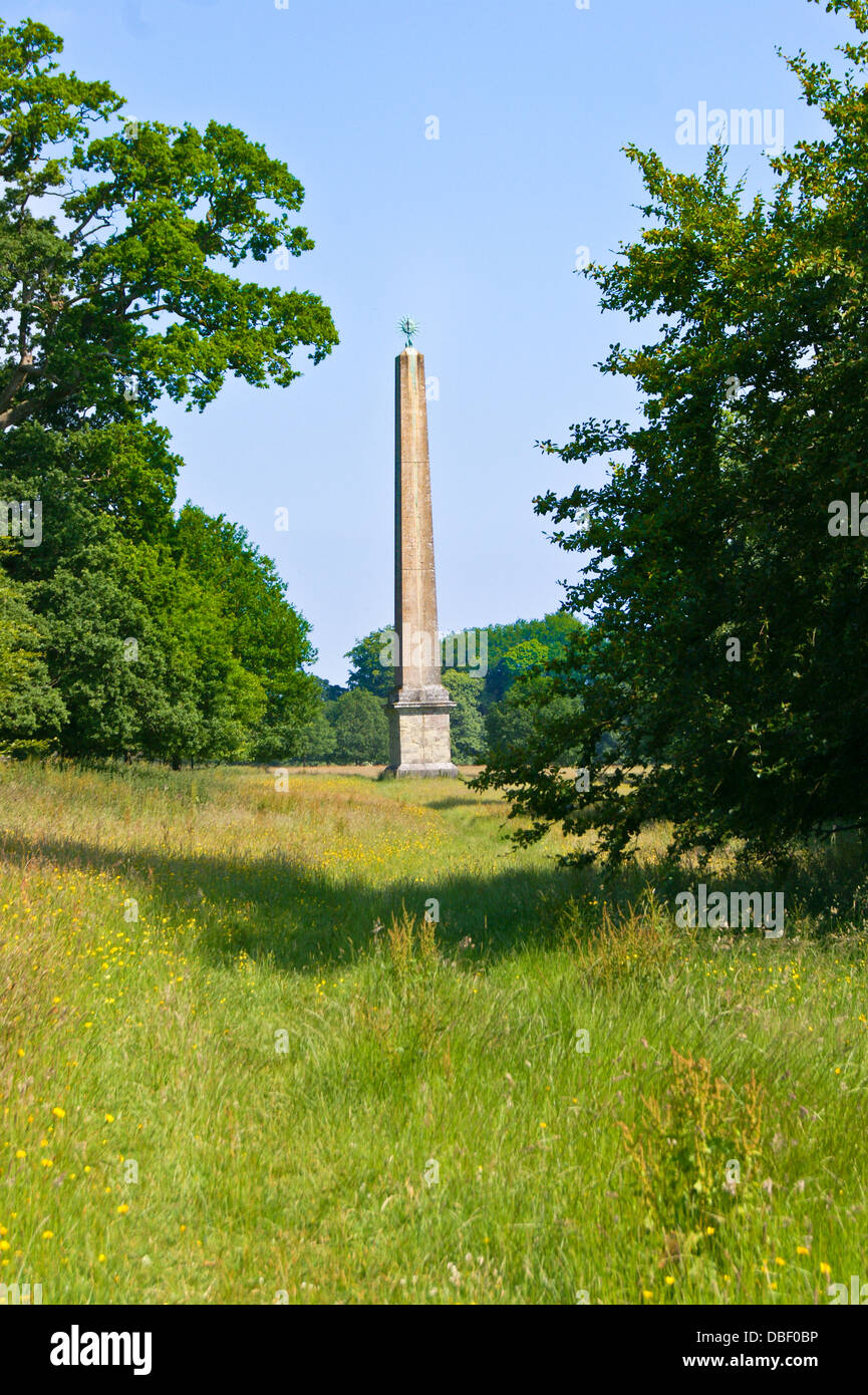 L'Obelisco, 1839, Stourhead, Wiltshire, fotografati da il diritto del pubblico di modo Foto Stock