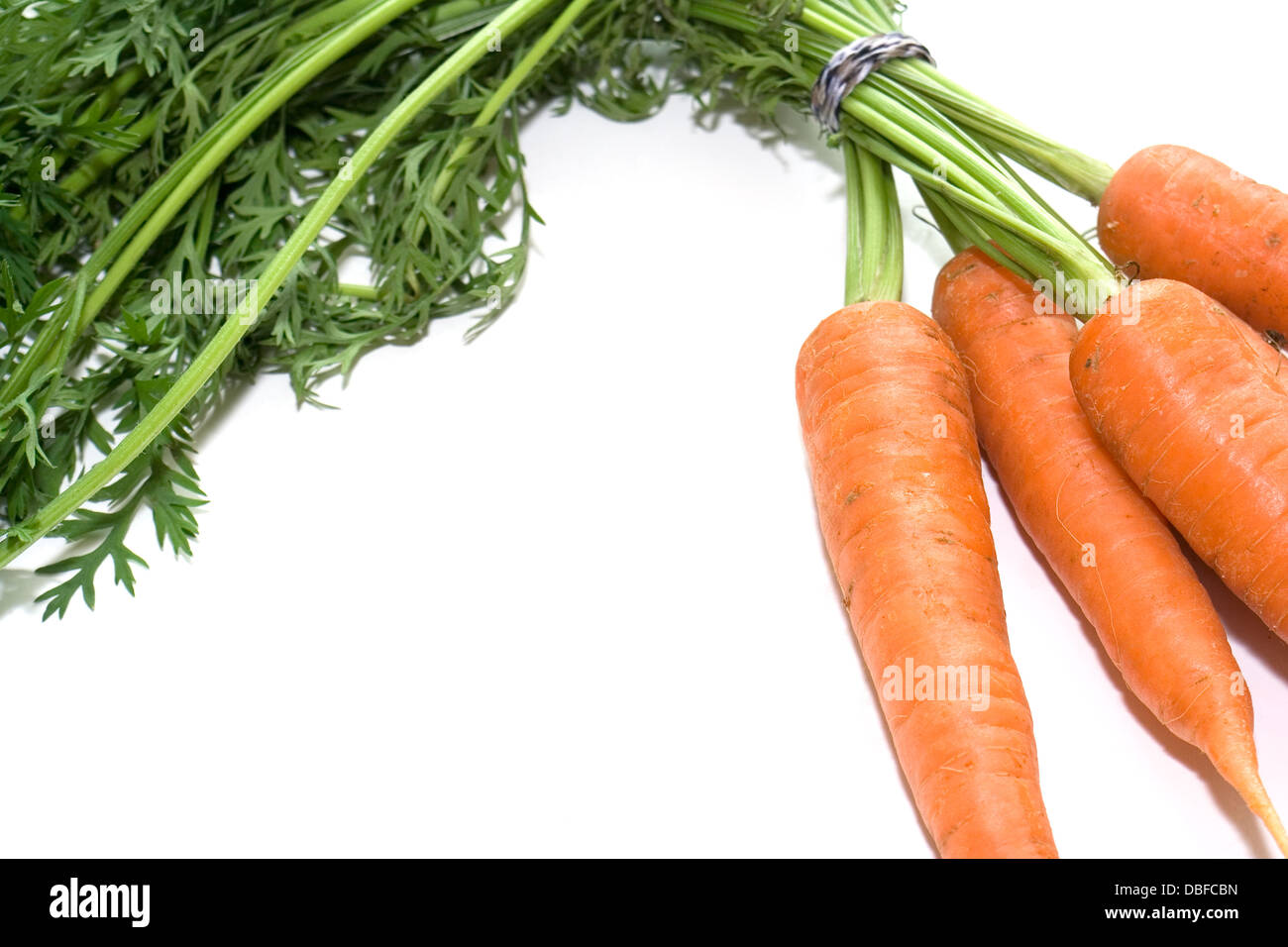 Le carote su sfondo bianco 006 Foto Stock