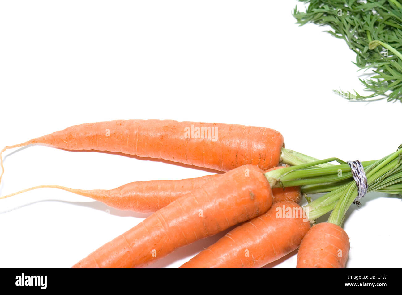 Le carote su sfondo bianco 004 Foto Stock