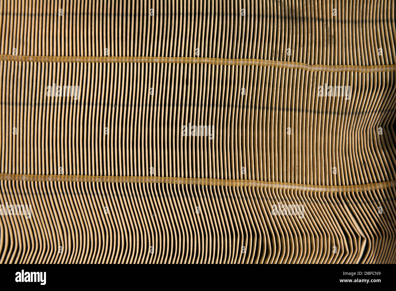 Danneggiato filtro aria Foto Stock