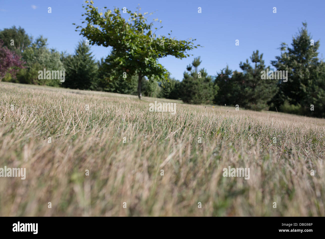 Bel relax outdoor park in Gdansk Zaspa distretto. Foto Stock