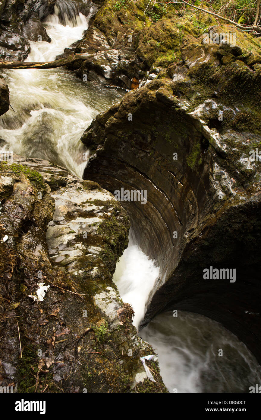 Regno Unito, Galles Ceredigion, Ponte del Diavolo, del diavolo la conca, calderone di acqua-rocce scolpite Foto Stock
