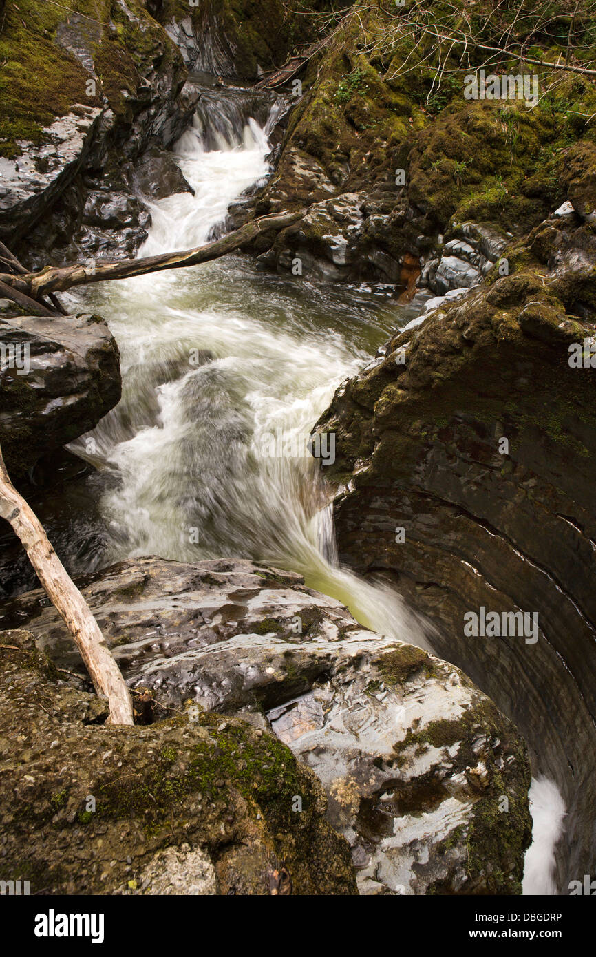 Regno Unito, Galles Ceredigion, Ponte del Diavolo, del diavolo la conca, calderone di acqua-rocce scolpite Foto Stock