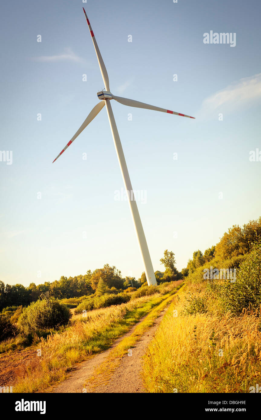 Una immagine di windturbine sulla giornata di sole Foto Stock