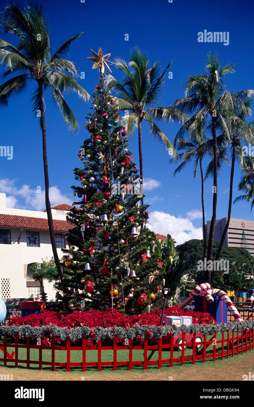 Honolulu Oahu, Hawaii, HI, STATI UNITI D'AMERICA - Albero di Natale e  decorazioni a Honolulu Hale (Municipio Foto stock - Alamy