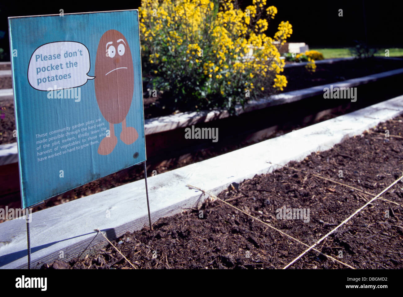 Giardino comunitario, giardini urbani - Si prega di non cogliere le patate segno posted in città sostenibile Allotment, Piede quadrato Giardinaggio Foto Stock