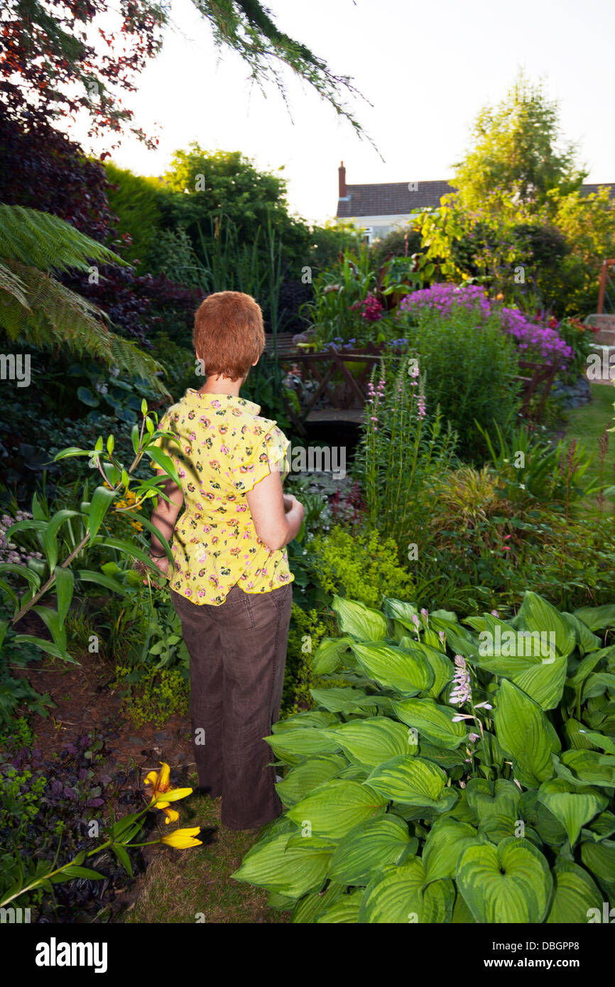 Signora guarda il suo tipico giardino inglese fiori piante tra cui enorme Hosta Fortunei Aureomarginata Foto Stock