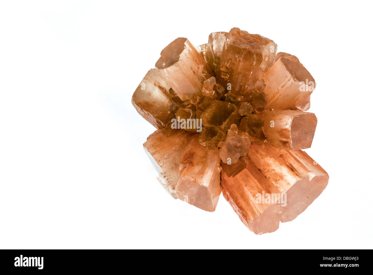 Aragonite vicino sul bianco. Stack di messa a fuoco. Foto Stock