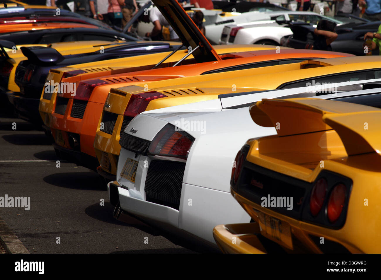 Lamborghini auto sportive Foto Stock