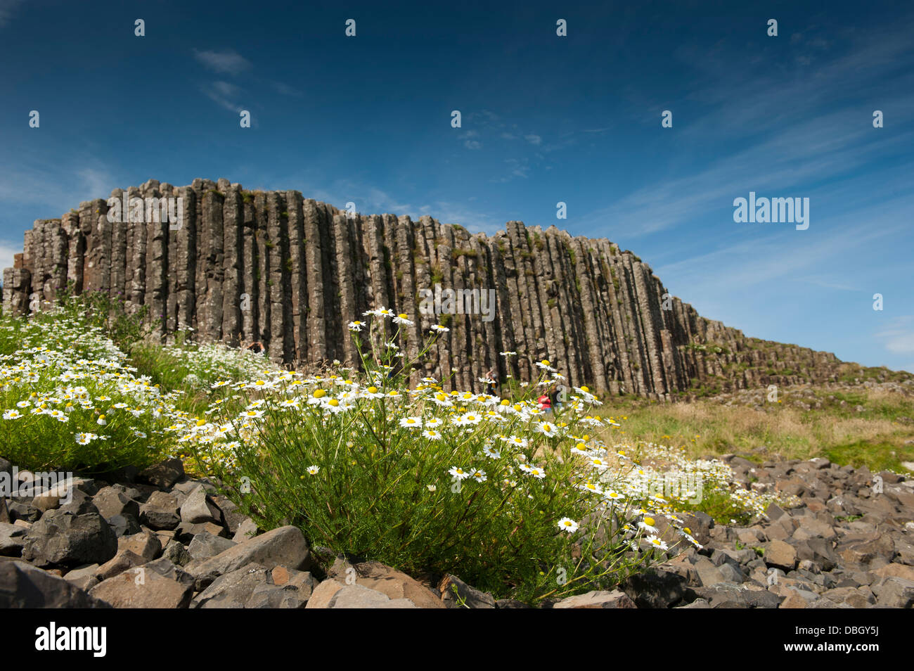 I visitatori al Giants Causeway, Irlanda del Nord. Foto Stock